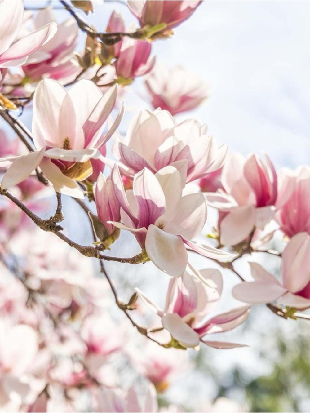 Unlisted Items